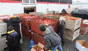 Over 38,000 pounds of fresh apples donated to Moosomin Food Share